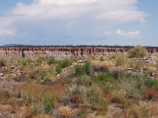 P7290195.JPG