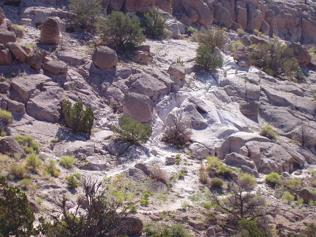P7290155.JPG