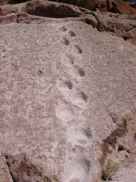 P7290156.JPG