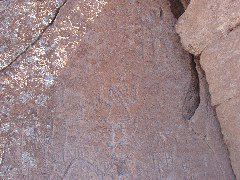 P7290173.JPG