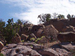 P7290159.JPG
