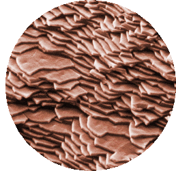 Fracture surface of abalone shell