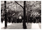 Students march