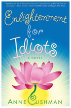 Enlightenment for Idiots