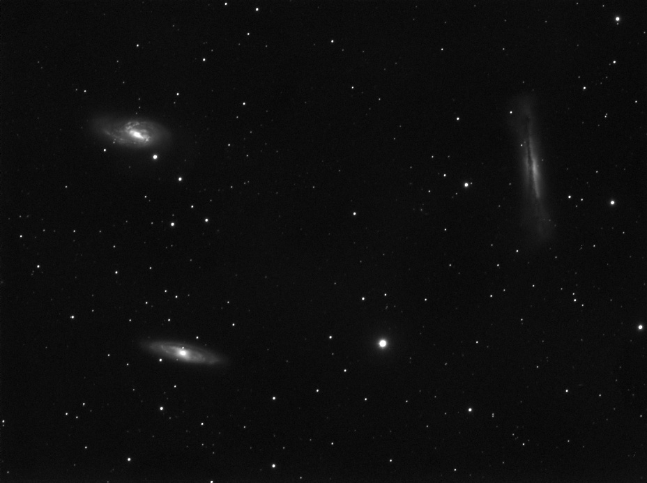 Leo Trio