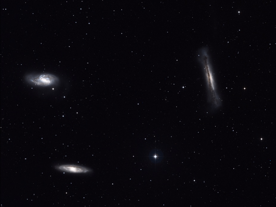Leo Trio