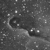 IC 1396 Elephant Trunk Nebula (VDB 142)