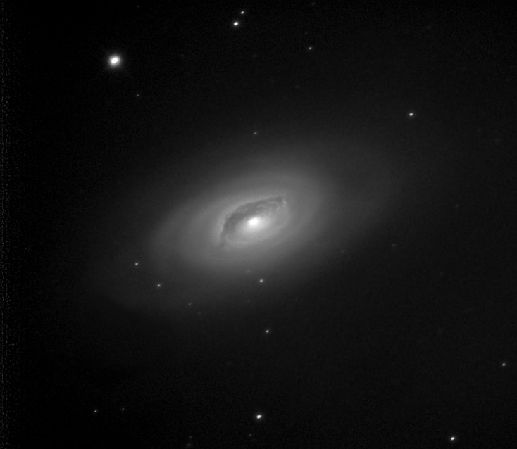 M64