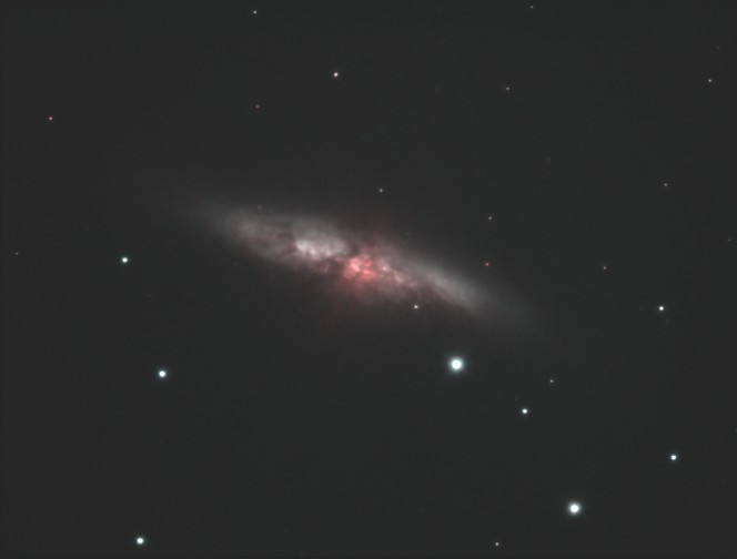 M81