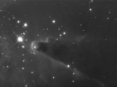 NGC2264