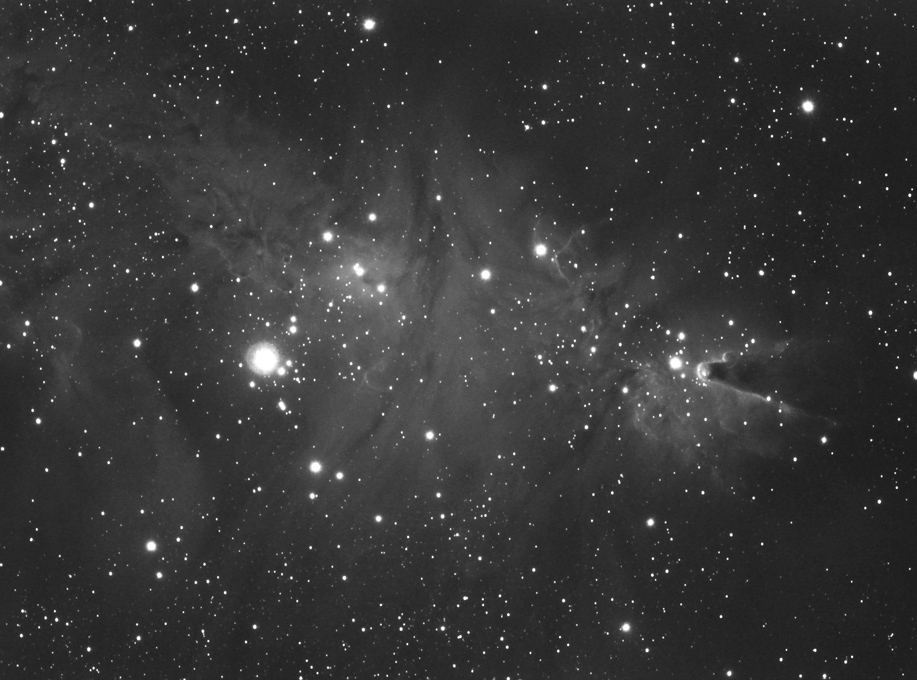NGC2264