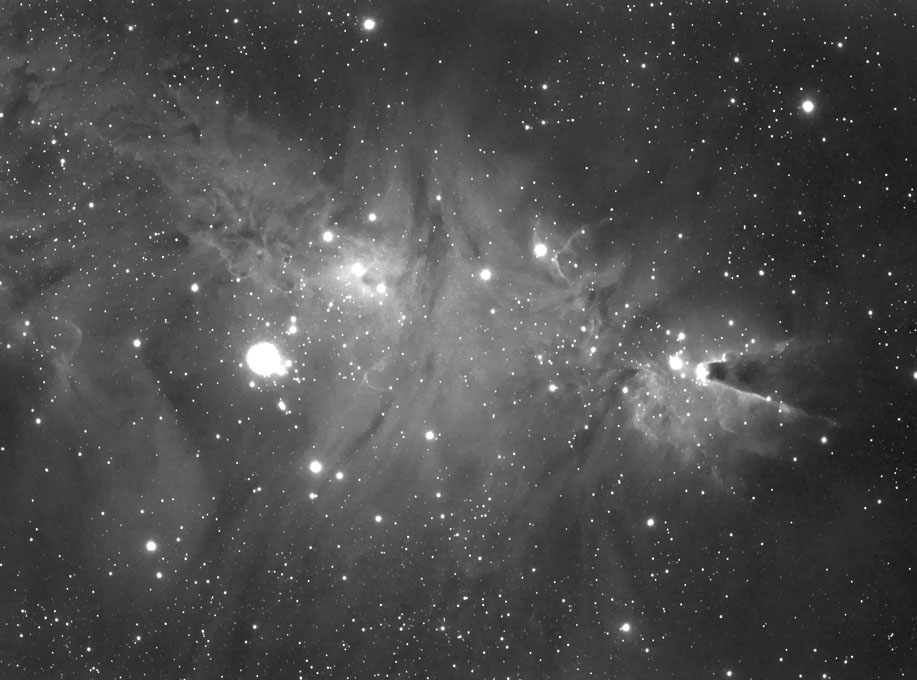 NGC2264