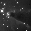 NGC 2264 Cone and Foxfur Nebulae