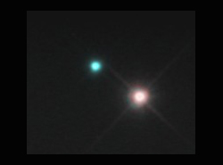 Albireo