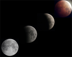 Moon