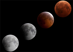 Moon