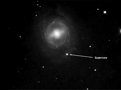 M95