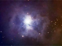 NGC 7023 Iris Nebula