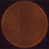 Arcturus