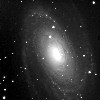 M81